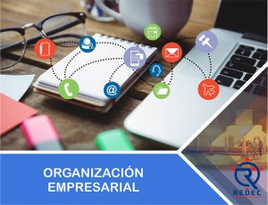 Organización Empresarial